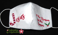 JESUS IS THE REASON FACE MASK In The Hoop Adult & Child Sizes- Digital Download